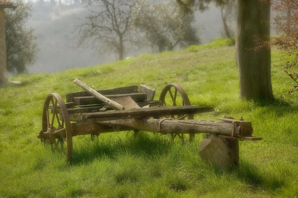 Agriturismo Buondonno Castellina in Chianti Dış mekan fotoğraf