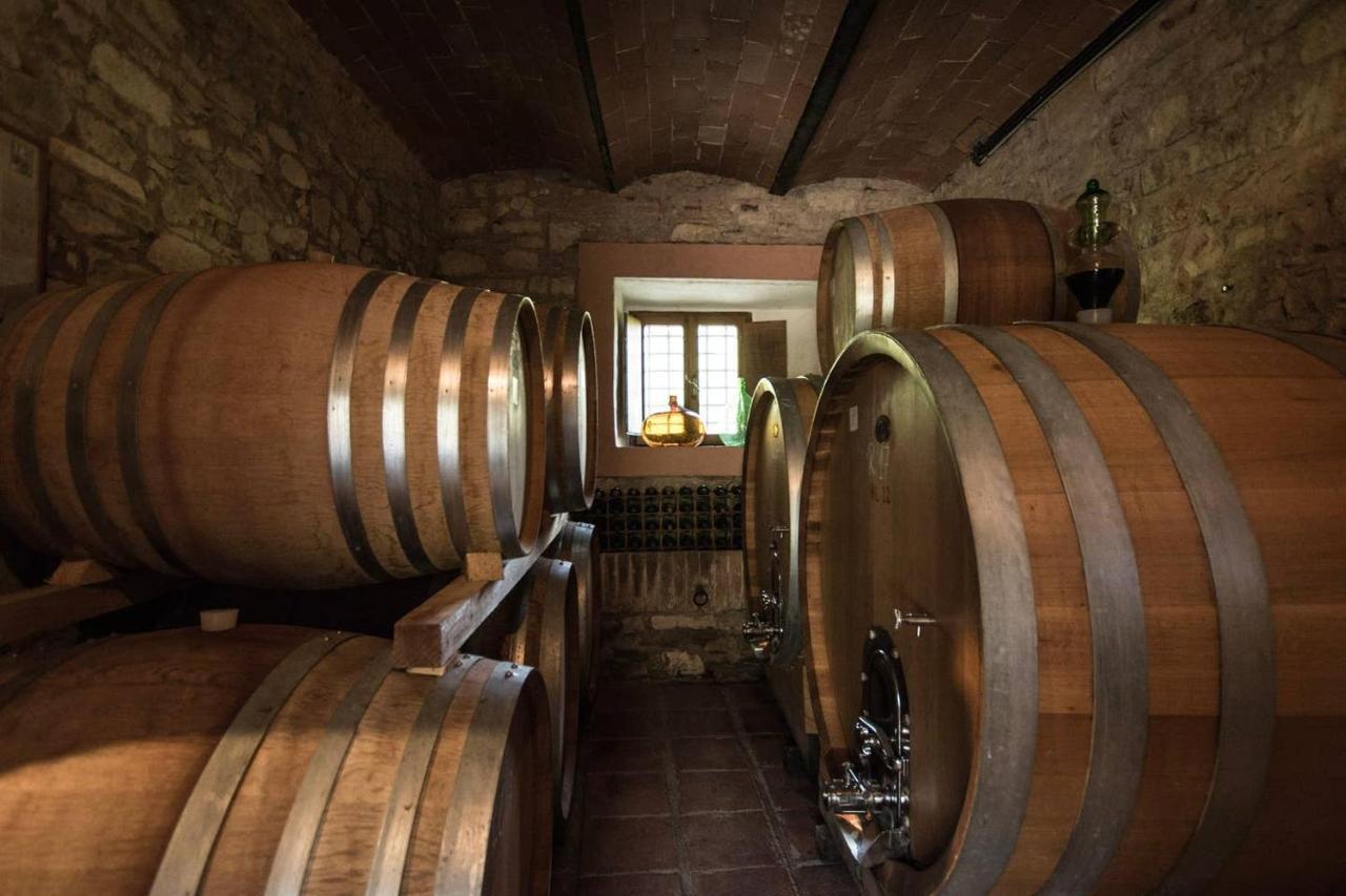 Agriturismo Buondonno Castellina in Chianti Dış mekan fotoğraf